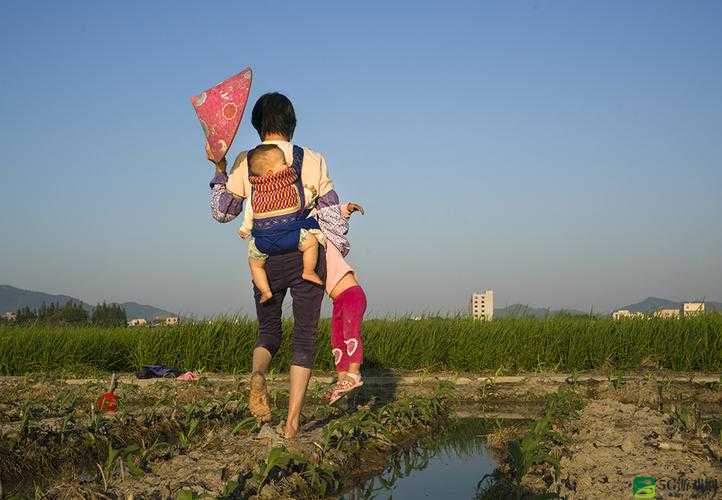 在妈妈的土地上耕耘：生命的孕育与收获