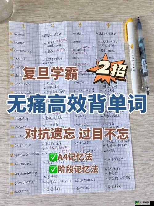 坐在学霸的鸡上背单词双楠的独特学习体验